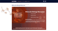 Desktop Screenshot of biologyteacher.uconn.edu