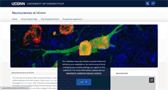 Desktop Screenshot of neuroscience.uconn.edu